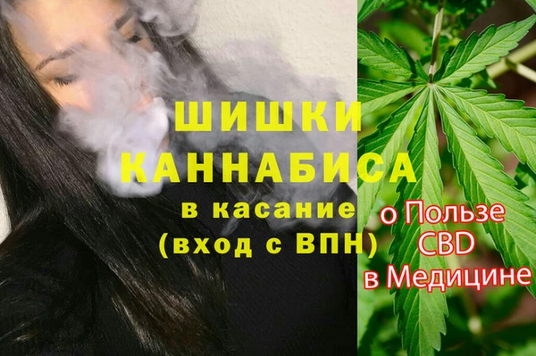 твердый Богородск