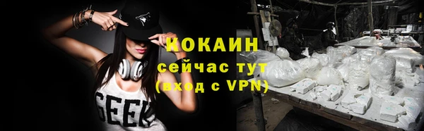 дживик Богородицк