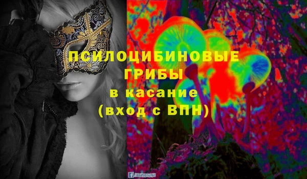 дживик Богородицк