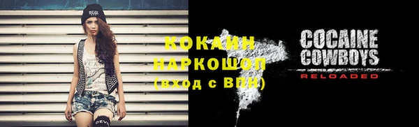 mdpv Богданович