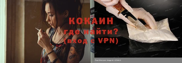дживик Богородицк