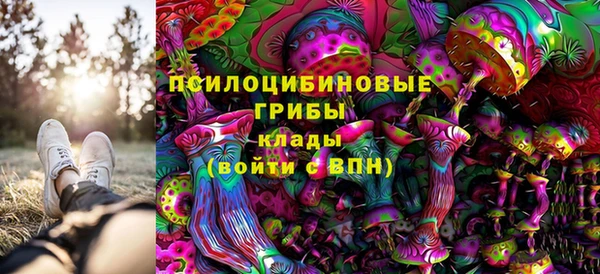 дживик Богородицк