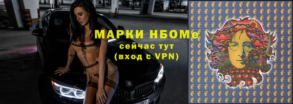 сатива Тавда