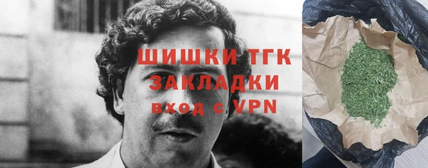 дживик Богородицк