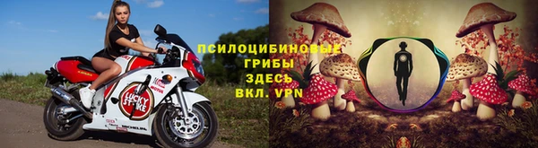 mdpv Богданович