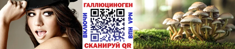 mega как войти Ворсма Псилоцибиновые грибы Magic Shrooms
